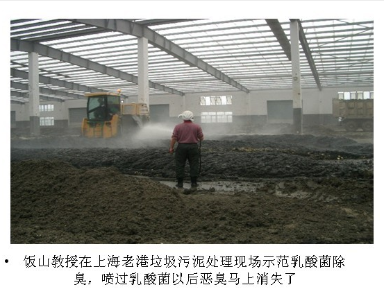 上海老港垃圾污泥处理现场
