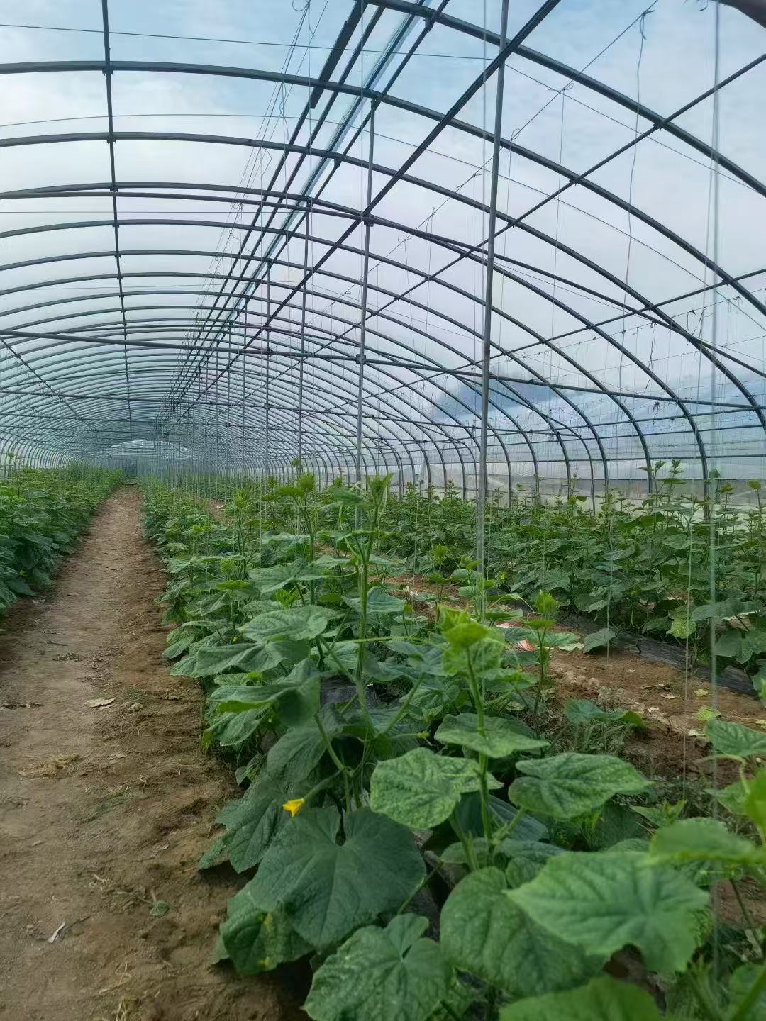 从“凭经验”到“盼改变”