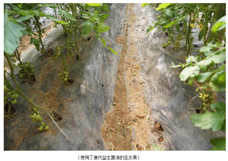 360鎴浘20230109155101775.jpg 360鎴浘20230109155101775.jpg